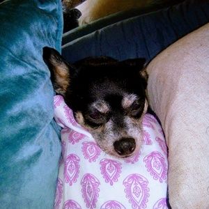 Meet your Posher, Deborah